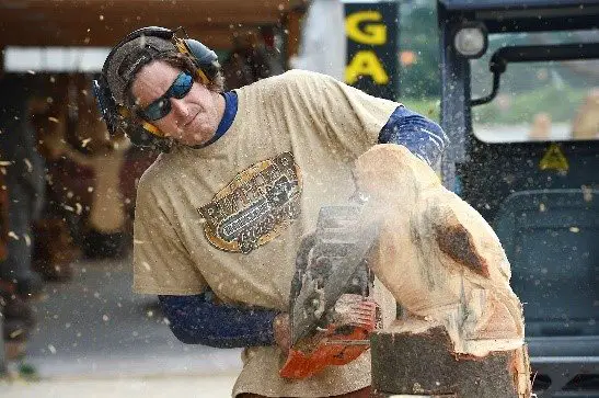 chainsaw carvers