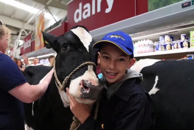 Cows-visit-supermarket-for-milk-price-protest