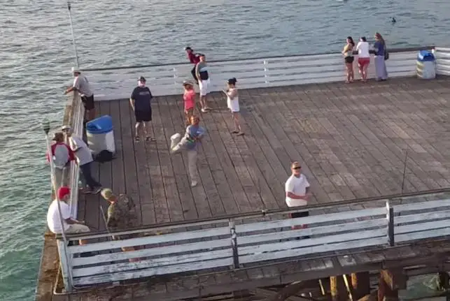 Fisherman-hooks-a-flying-drone-in-San-Diego