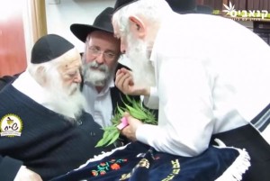 Ultra-Orthodox-rabbi-declares-medical-marijuana-kosher-for-Passover