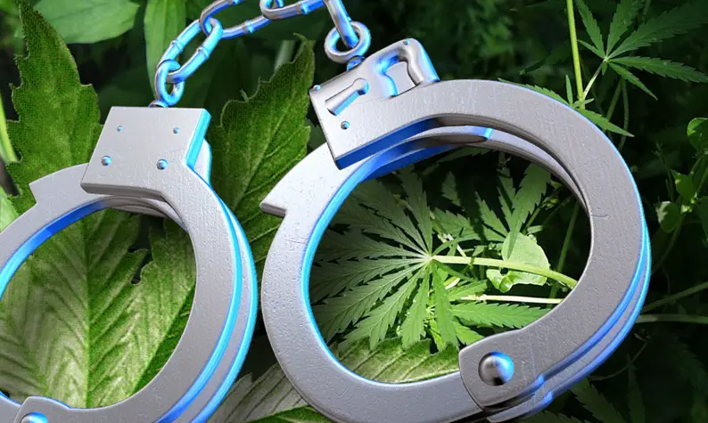 marijuana-arrest.jpg