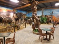 Exotic Animal Mounts from Around the World On Display at Fairmount City’s Swift Safariland