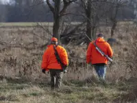 Upcoming Firearms Deer Season Offers Convenient Opportunity
