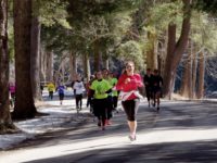 Annual Cook Forest Half Marathon, 5K Set for Saturday