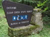 Pennsylvania Great Outdoors: Clear Creek State Forest