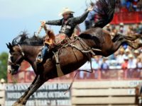 Skill Games Company Woos Pa. Lawmakers with Trips to Wild Wyoming Rodeo