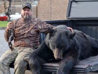 State Bear Harvest Totals 2,920